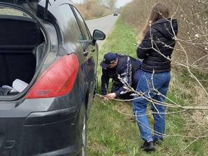 Na zdjęciu widać umundurowanego Policjanta Komisariatu Policji w Rewalu, który zmienia koło w Peugeocie. Na pierwszym planie widać stojącą tyłem do obiektywu kobietę tj. kierującą.