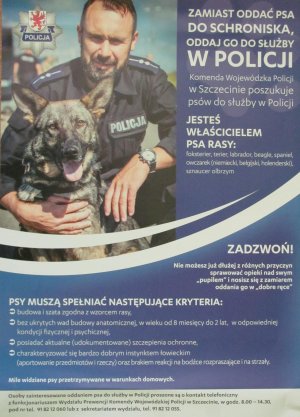 ZAMIAST ODDAĆ PSA DO SCHRONISKA ODDAJ GO DO SŁUŻBY W POLICJI